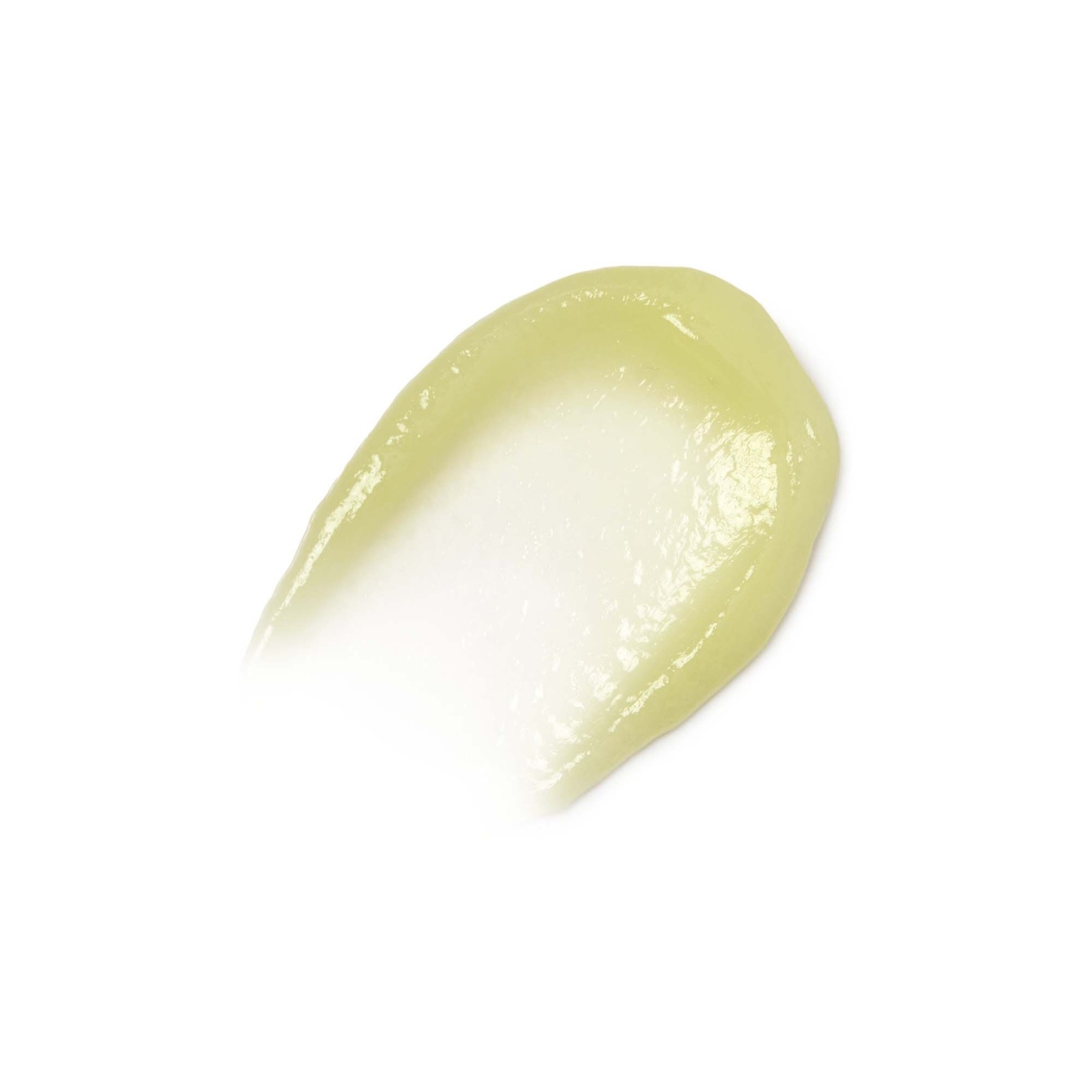 Ginseng Moist Sun Serum - Beauty of Joseon | MiiN Cosmetics