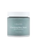 Clarifying Blue Mask