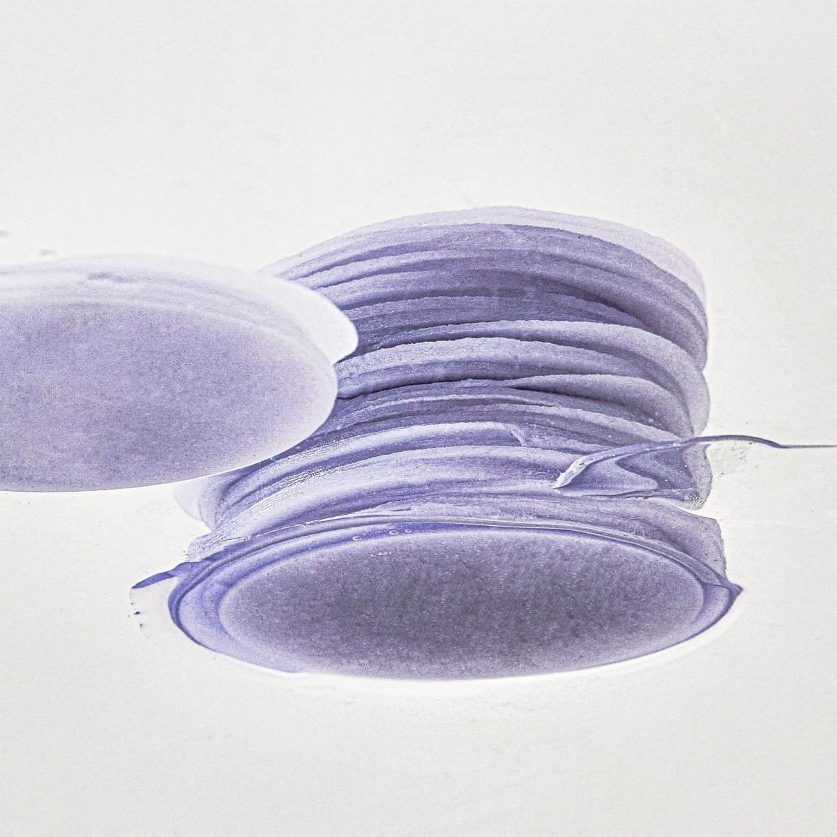 Dischetti Guava 70 Skin Toner Face Mask · Benton | MiiN Cosmetics