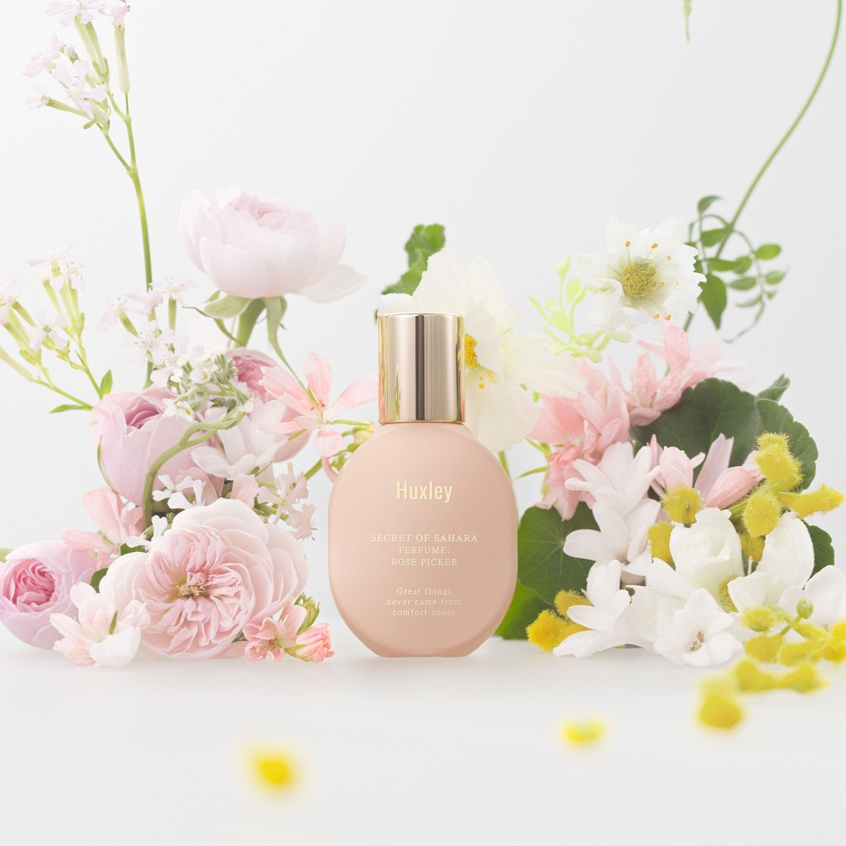 Profumo Berber Portrait - Huxley | MiiN Cosmetics